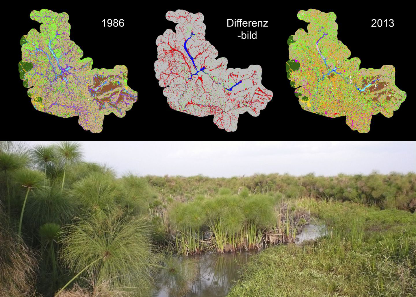 above: maps, below: landscape in Kenya with trees and swamp