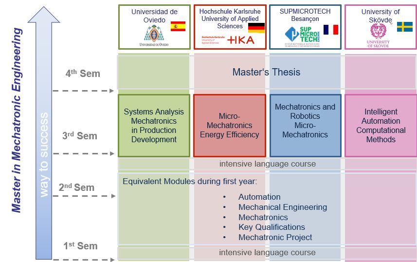 Diagramm Studienaufbau