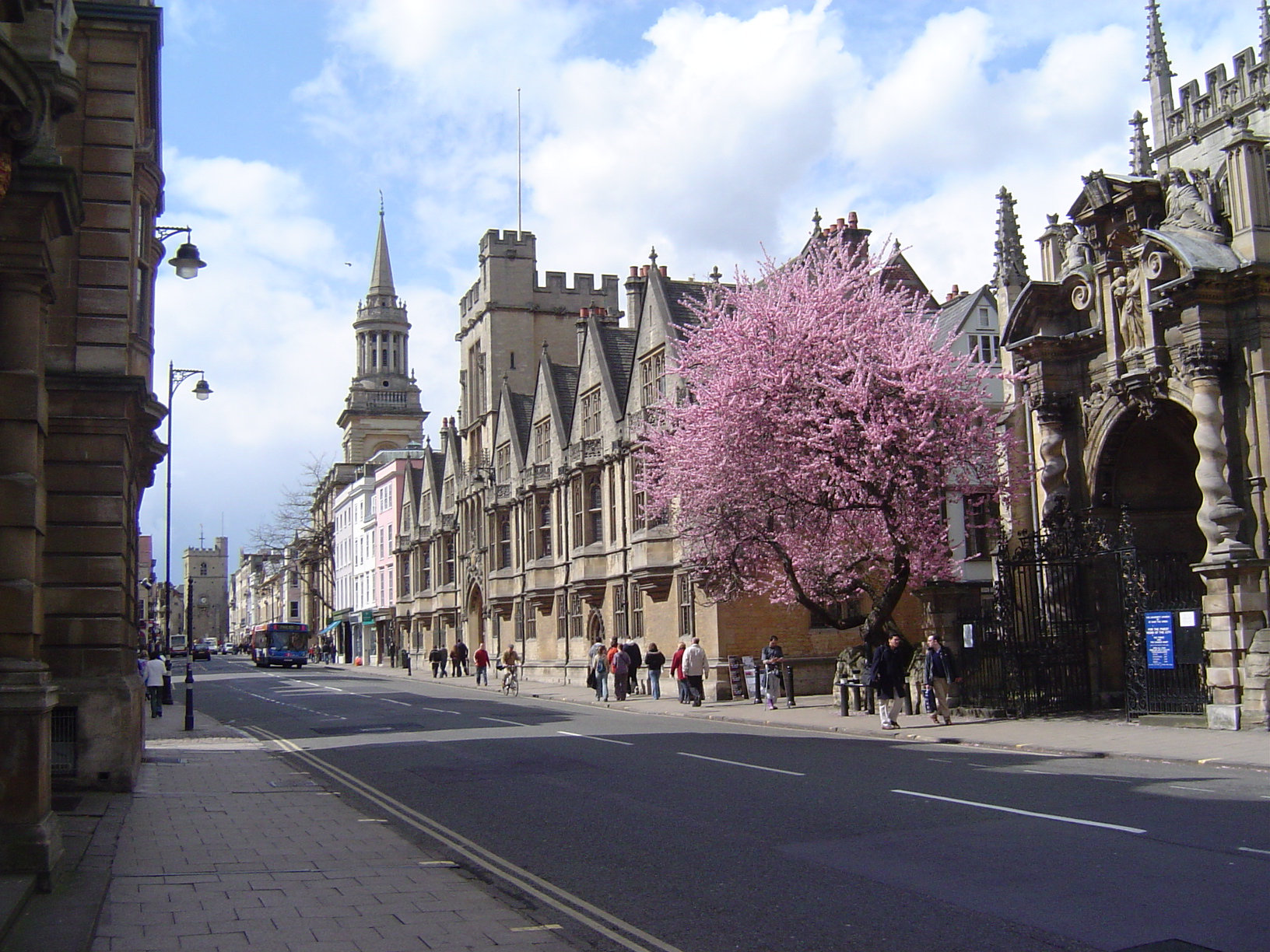 Oxford University mit blühendem Baum