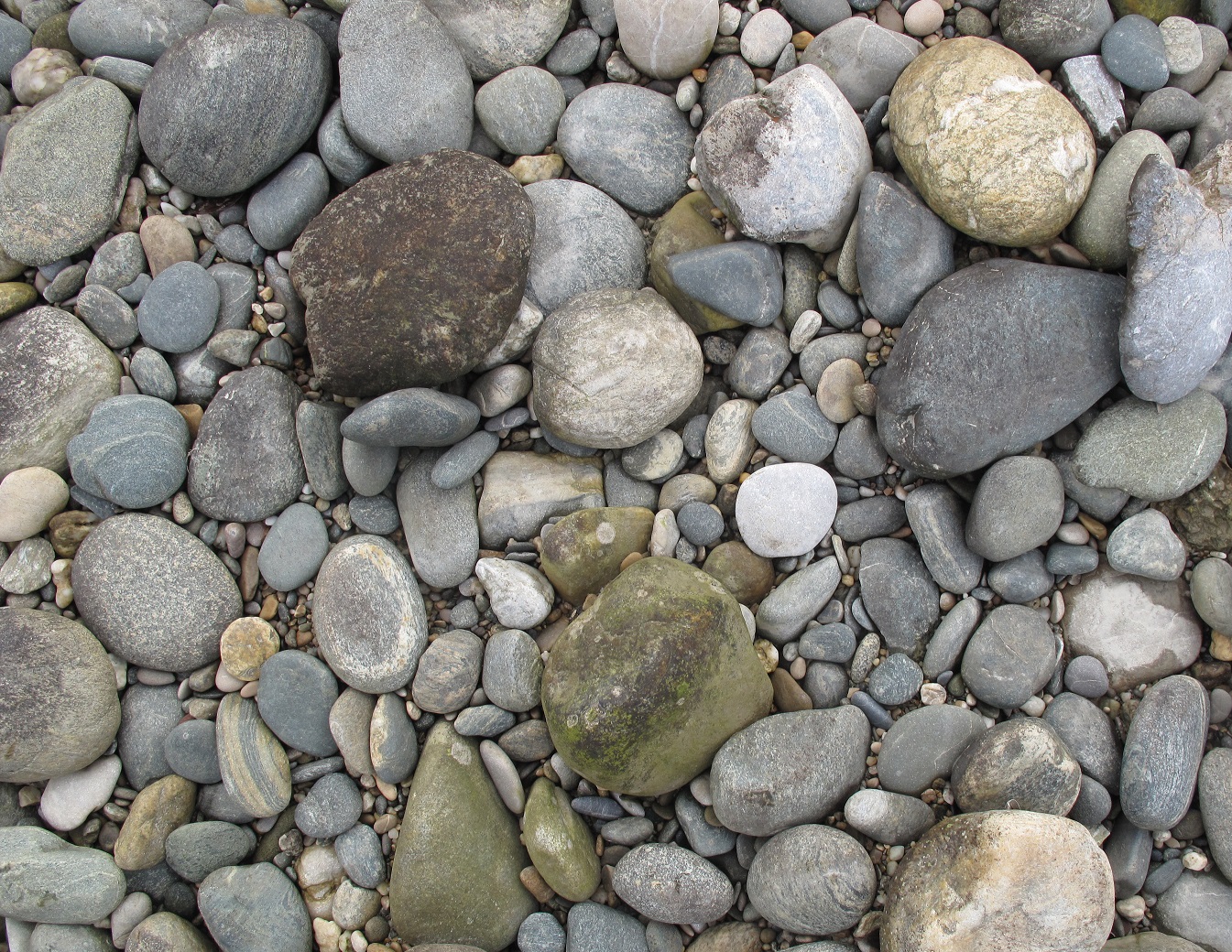 Example of a non colmatized watercourse bed 