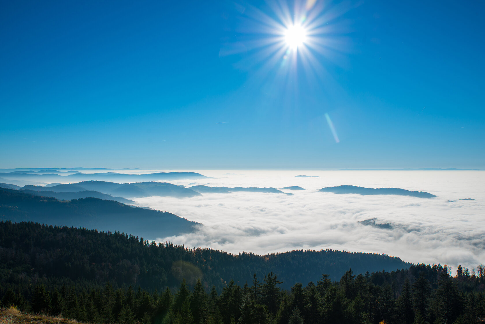 The Black Forest in Autumn