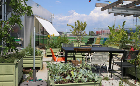 Community use of roof areas: "StadtErle", Basel 2019