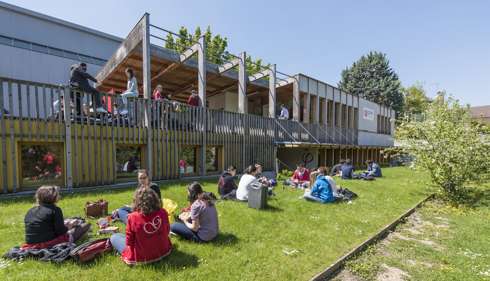 students sitting on a lawn in front of a building on campus