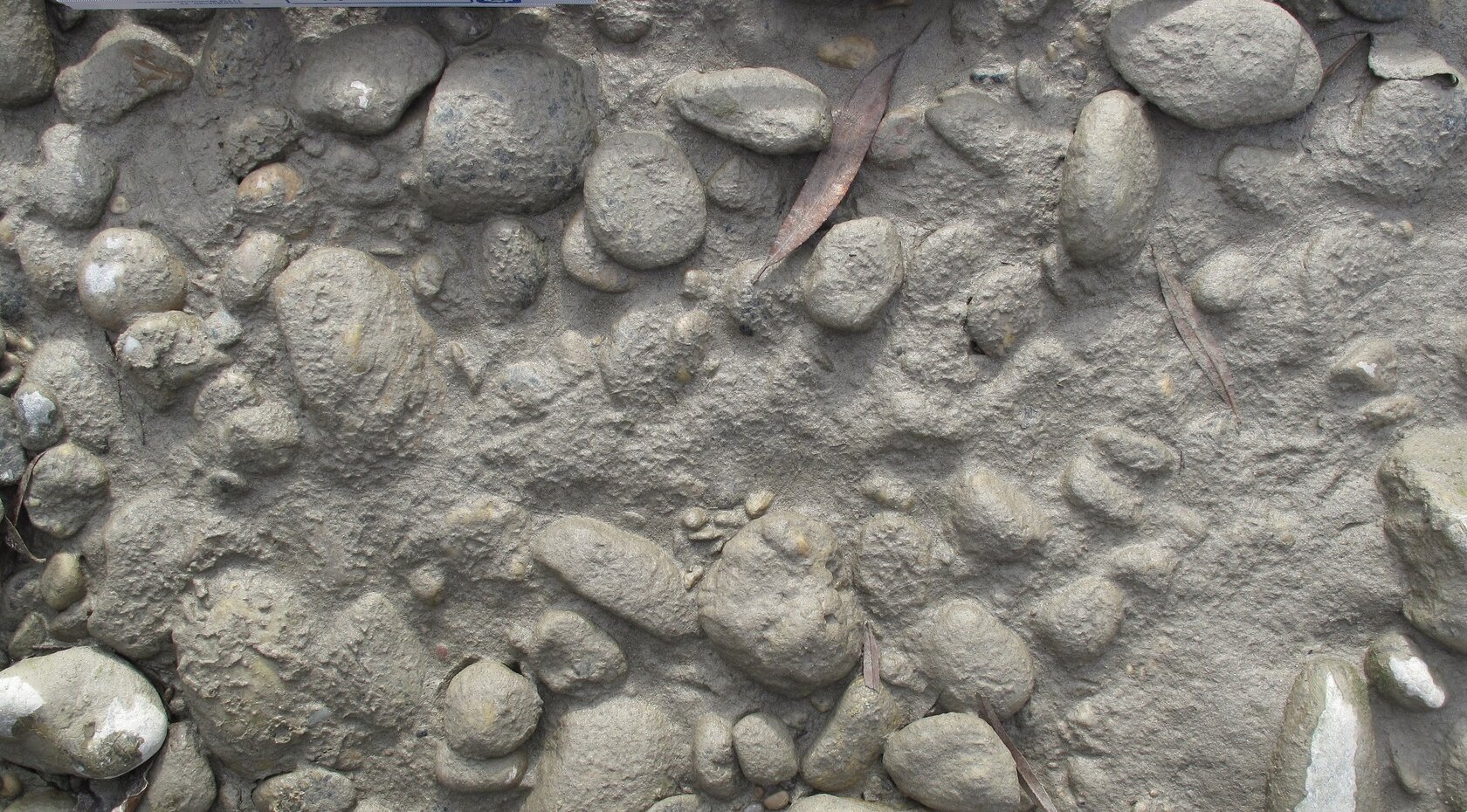 Example of a colmatized watercourse bed