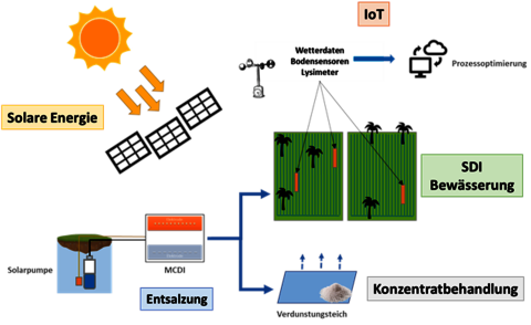 SuLaMo Konzeptschema inkl. Entsalzung, Bewässerung, Konzentratbehandlung, IoT und solare Energienutzung