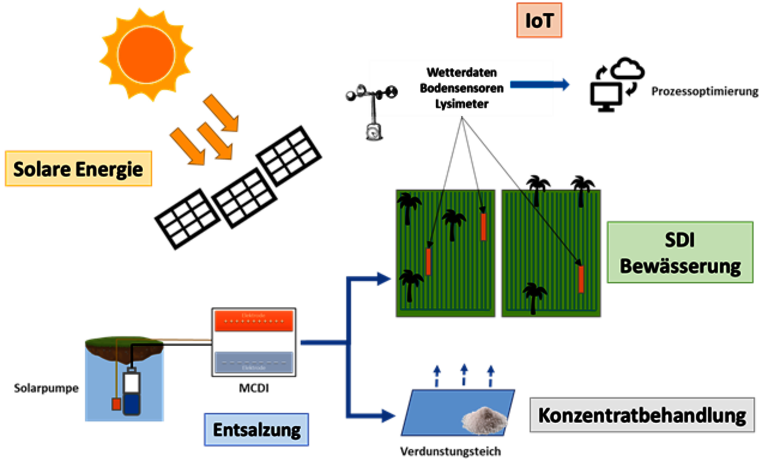 SuLaMo Konzeptschema inkl. Entsalzung, Bewässerung, Konzentratbehandlung, IoT und solare Energienutzung