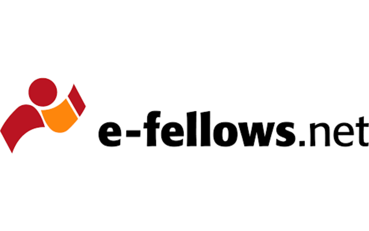 Logo von e-fellows.net