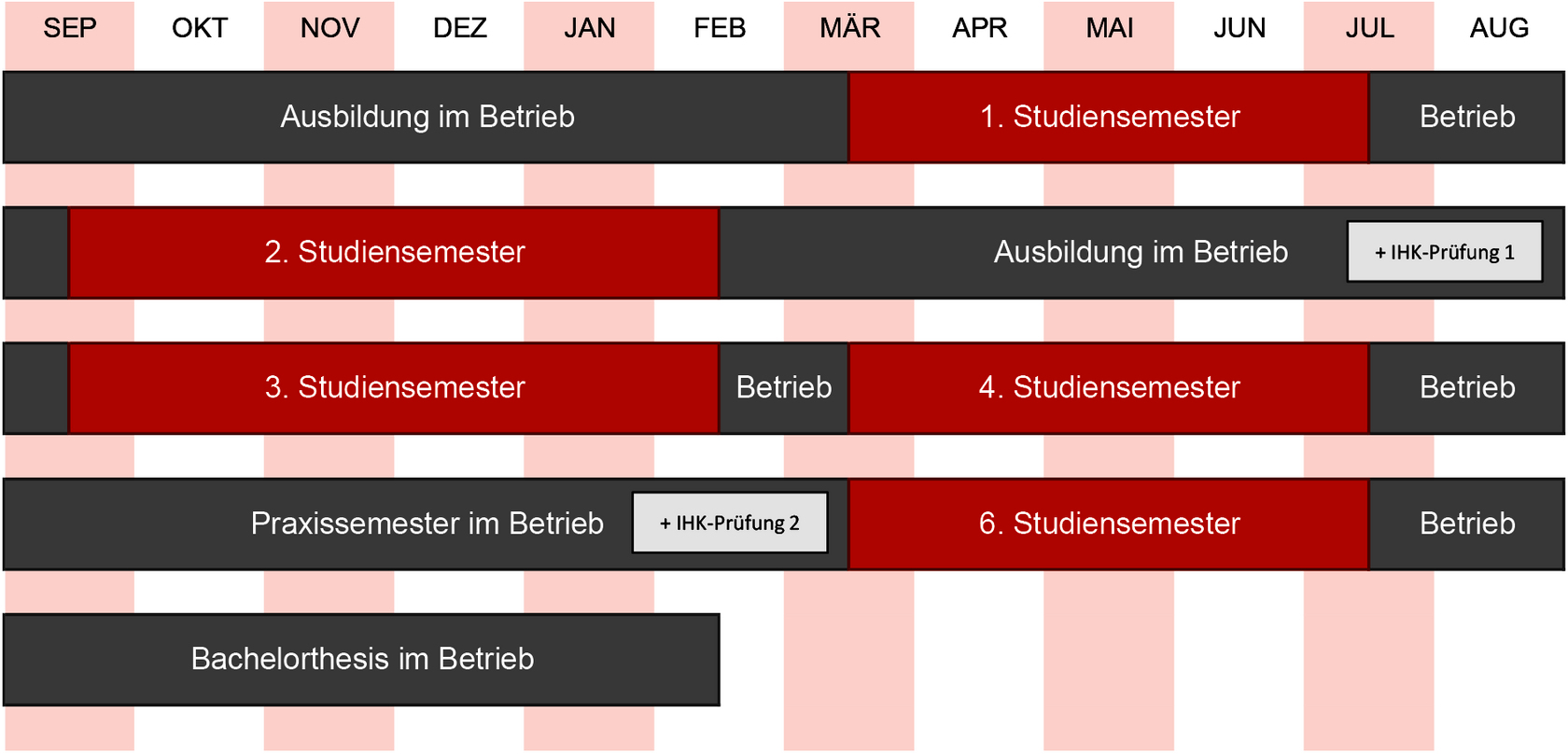 schematische Übersicht übe den Ablauf des StudiumPLUS Ausbildung in Form eine Jahresablaufs auf Kalenderbasis