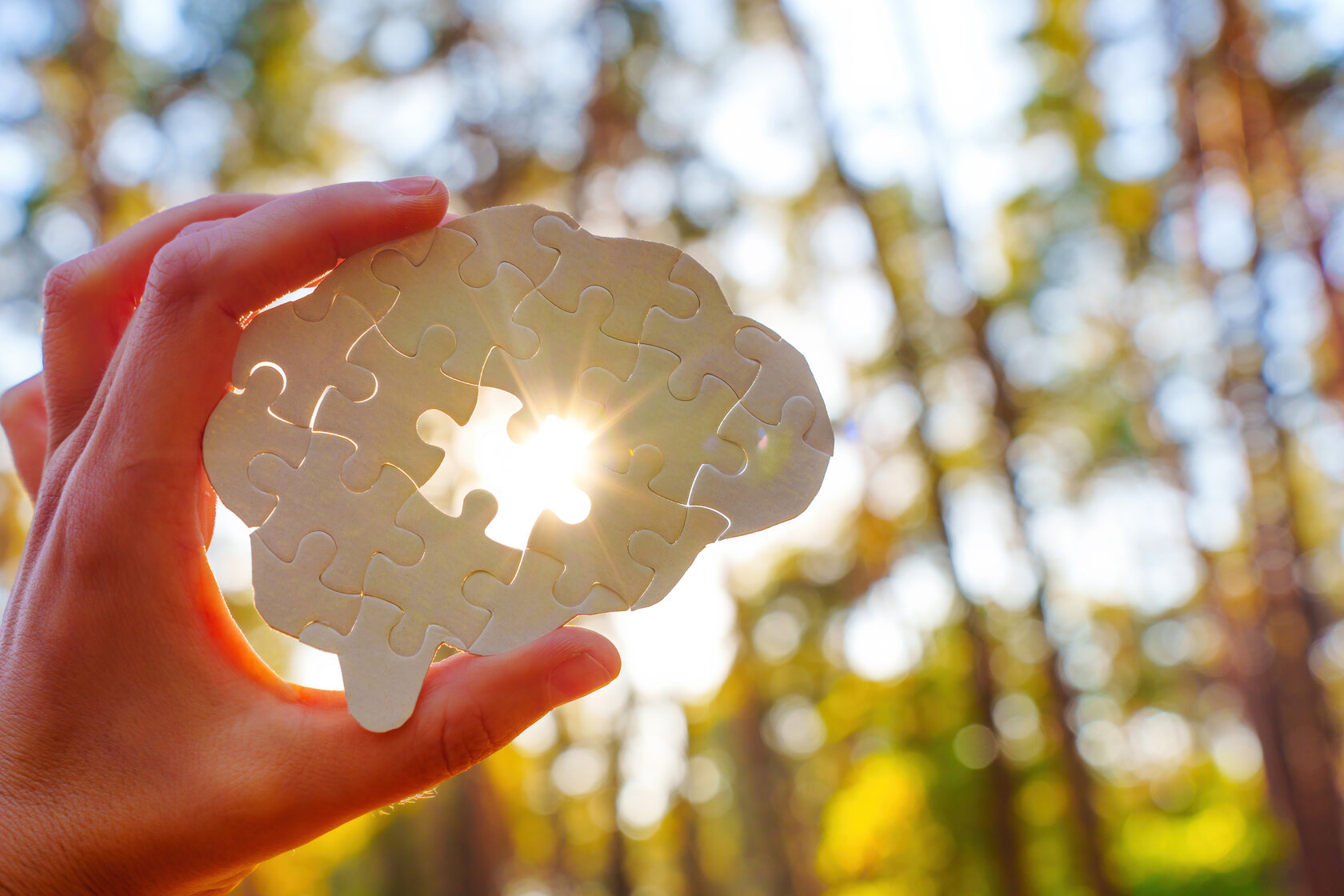 Holding Puzzle Piece Shaped Like Brain With Sunlight Background