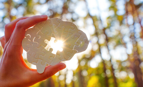 Holding Puzzle Piece Shaped Like Brain With Sunlight Background