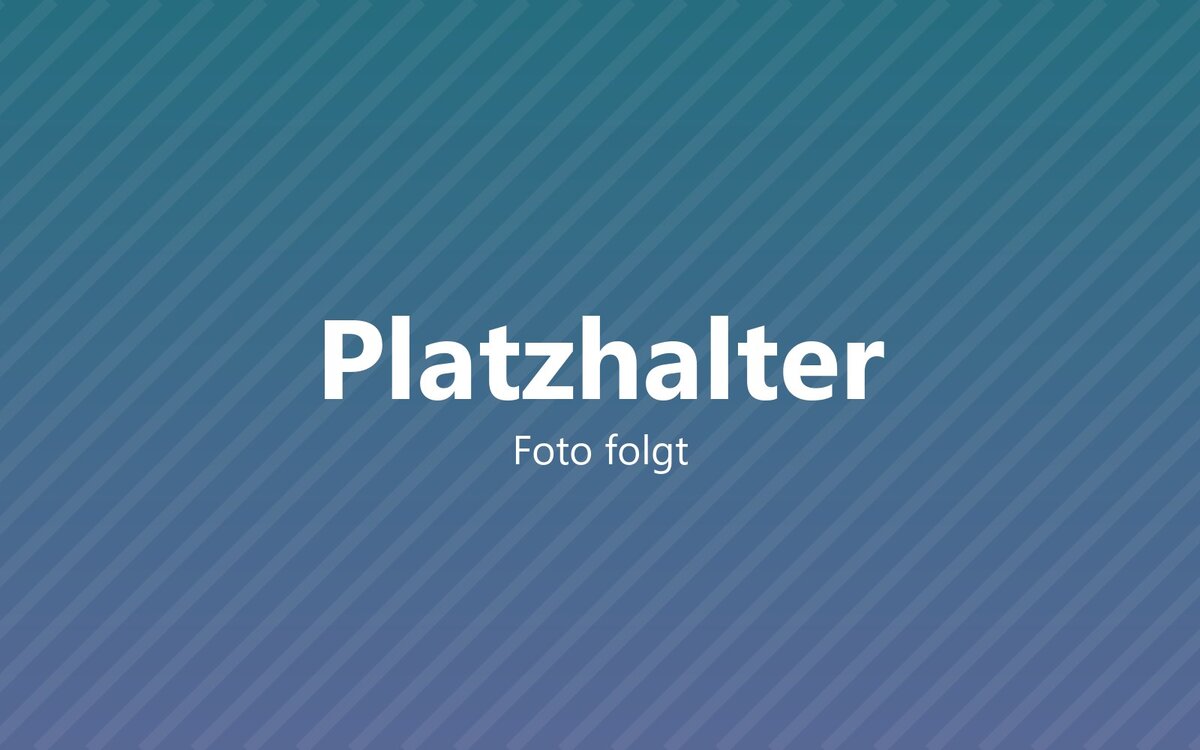 Alternativer_Text_zum_Platzhalterbild