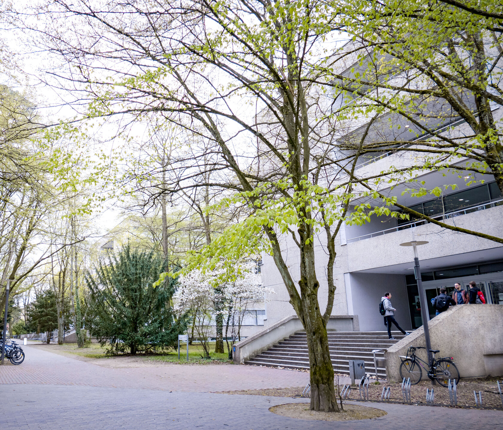 entrance to M building on HKA campus