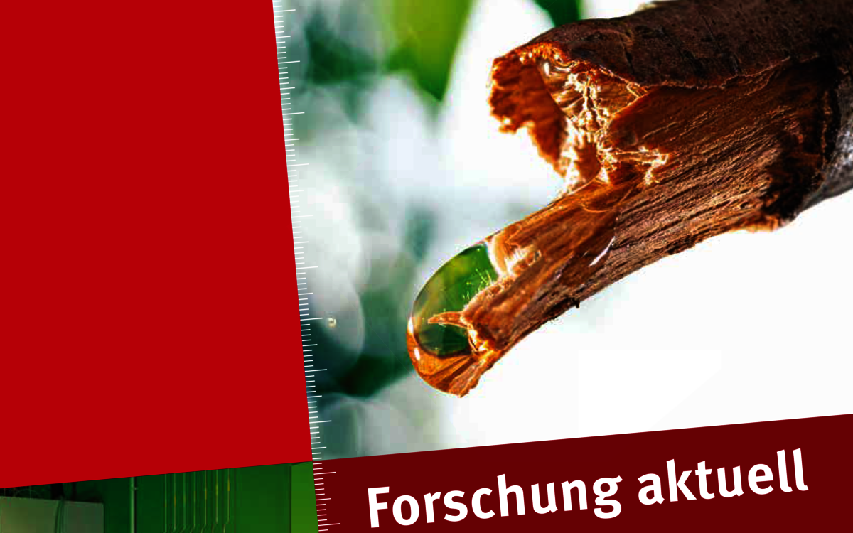 Cover von Forschung aktuell 2020