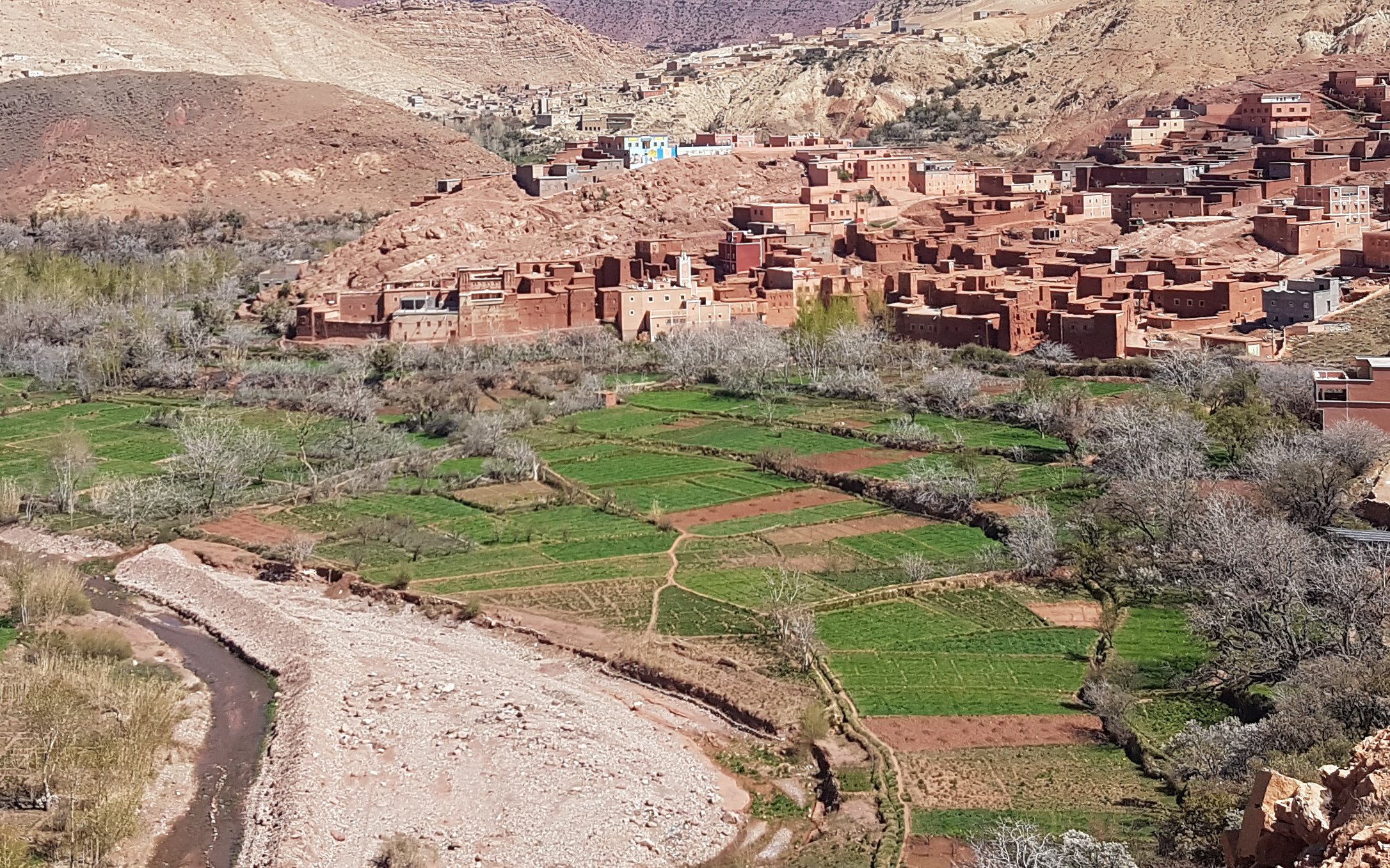 Ackerbauflächen in der Region Ouarzazate
