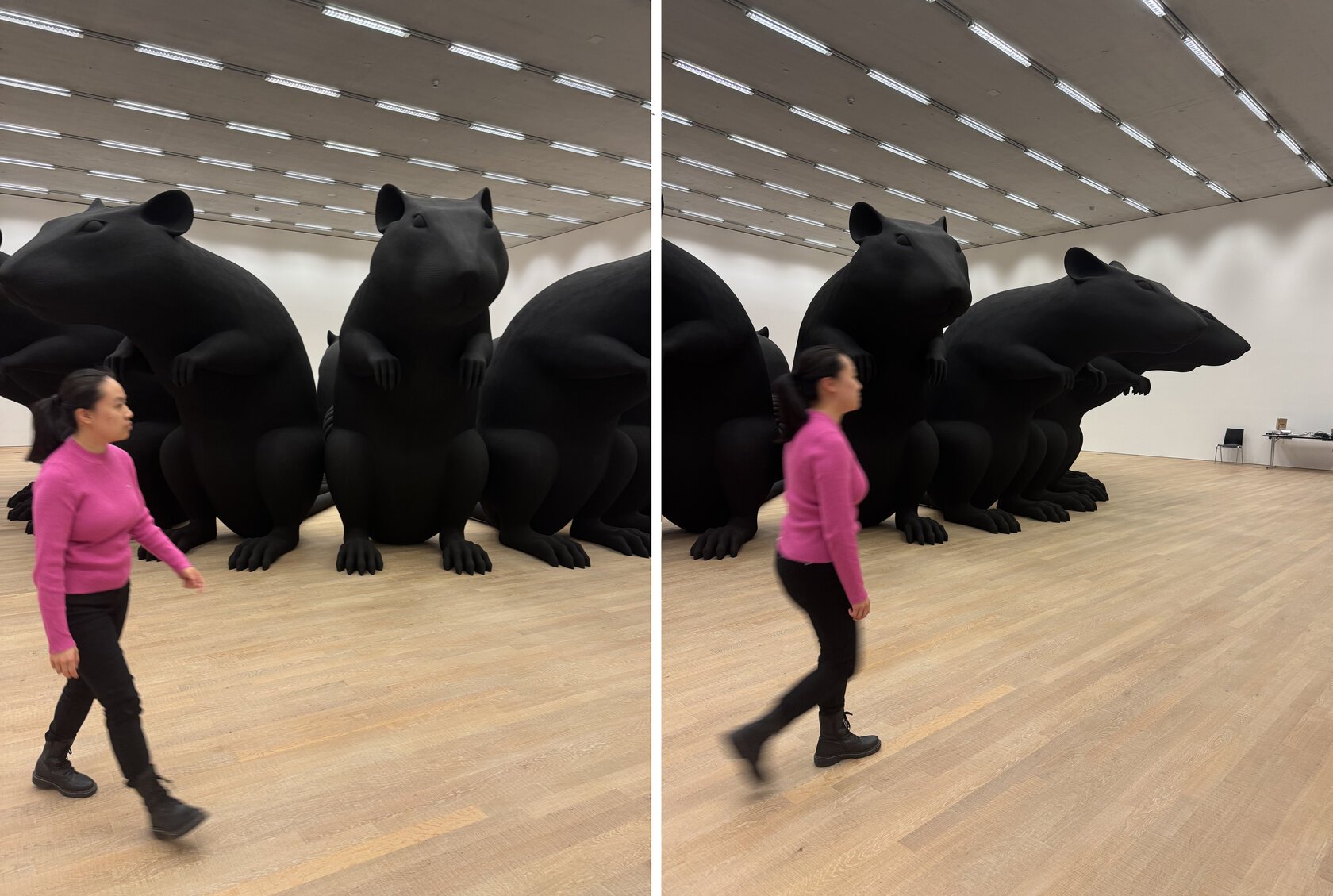 Studentin geht um das Ausstellungsstück 'Rattenkönig' herum