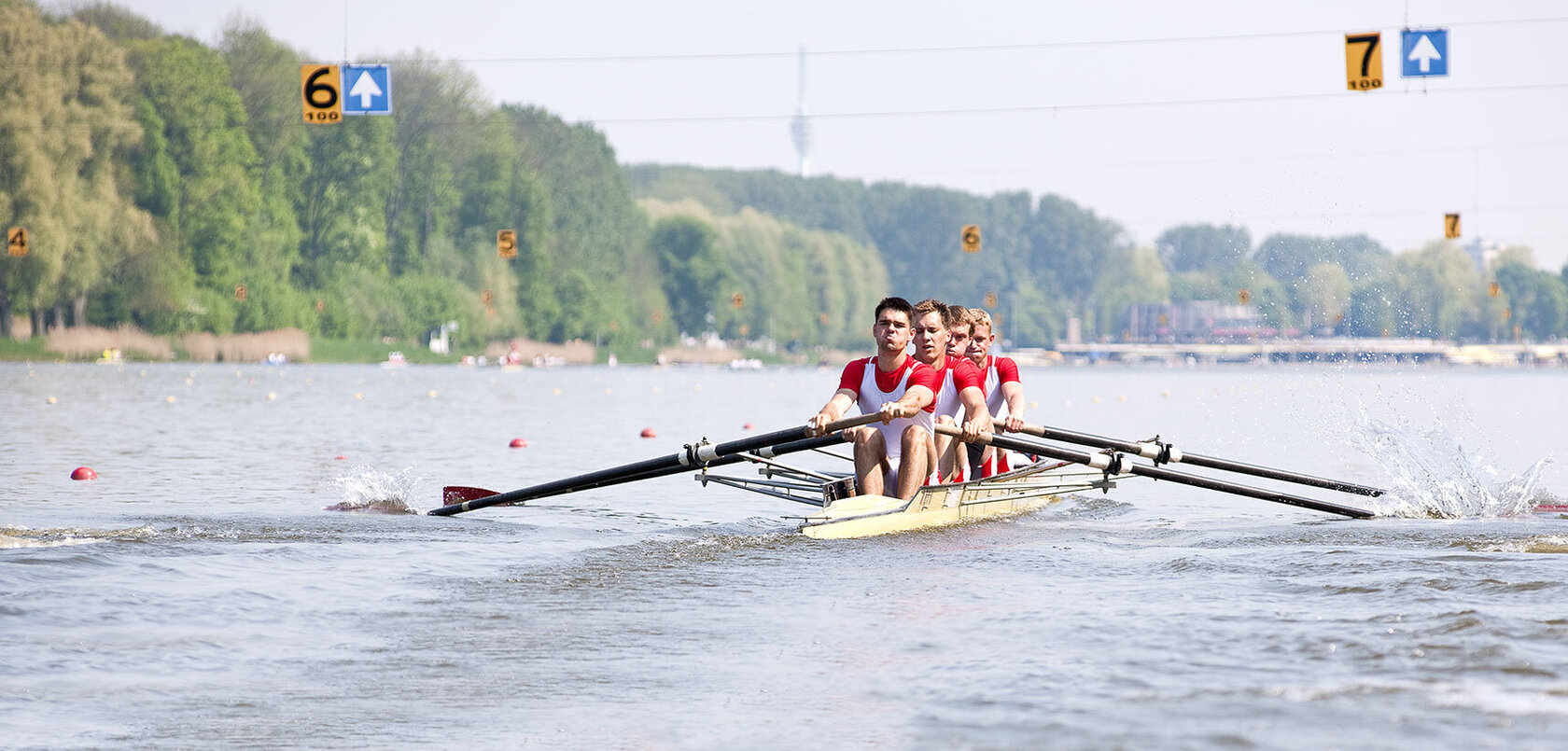 Beliebter Sport in Karlsruhe: Rudern auf dem Rhein