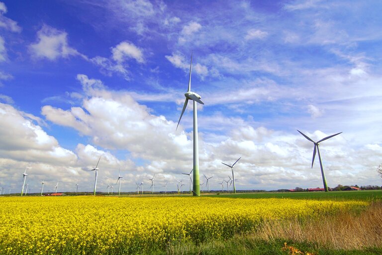 Windgenerator
