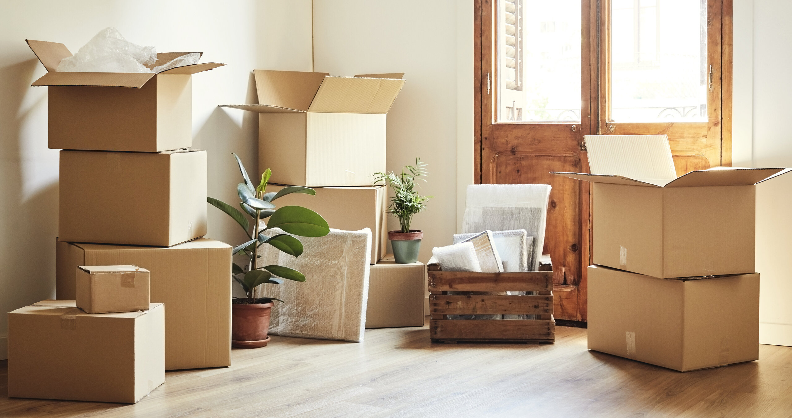 stacked moving boxes and some plants in an unfurnished room