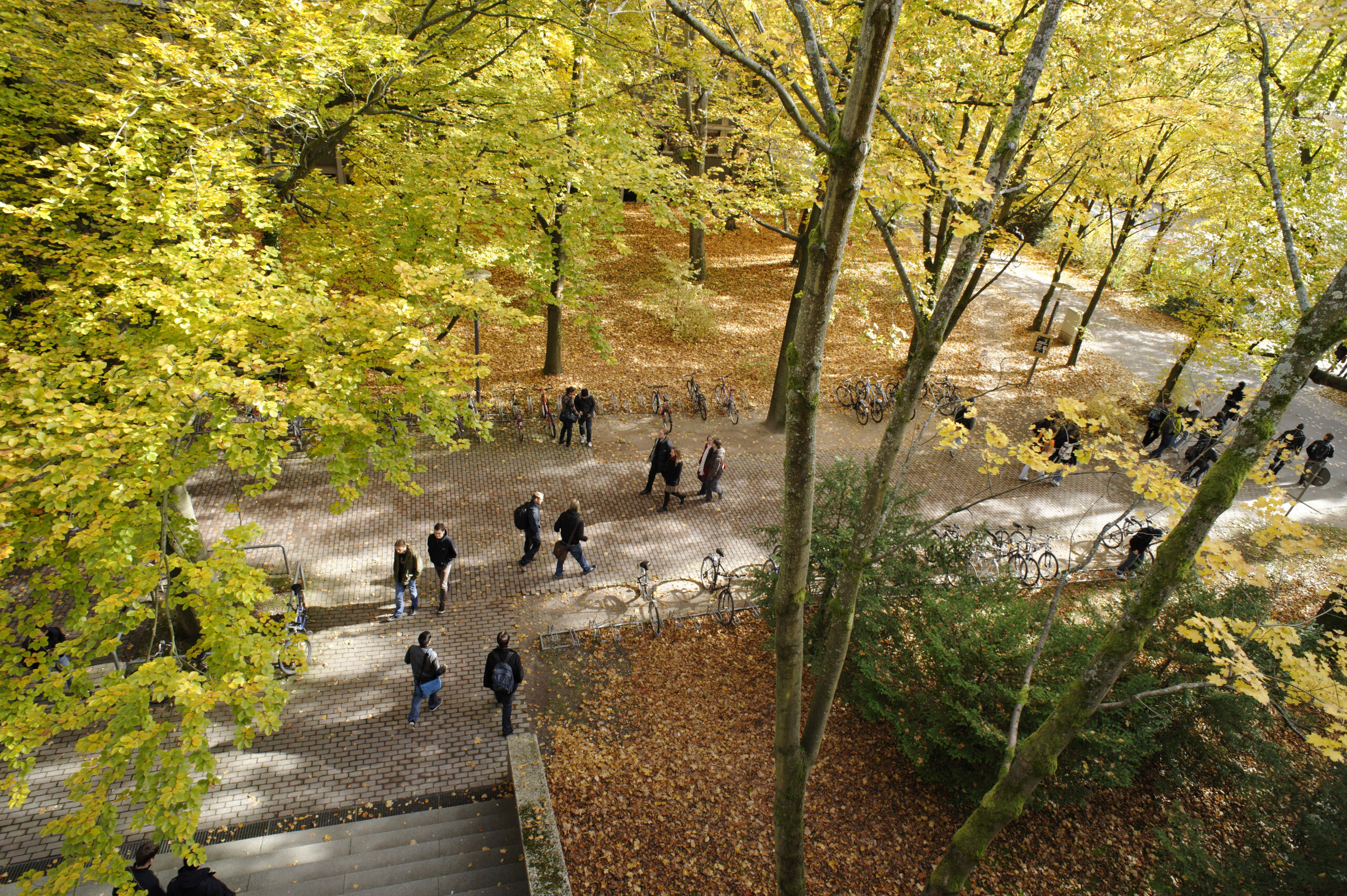 HKA campus with autumn trees, seen from balcony