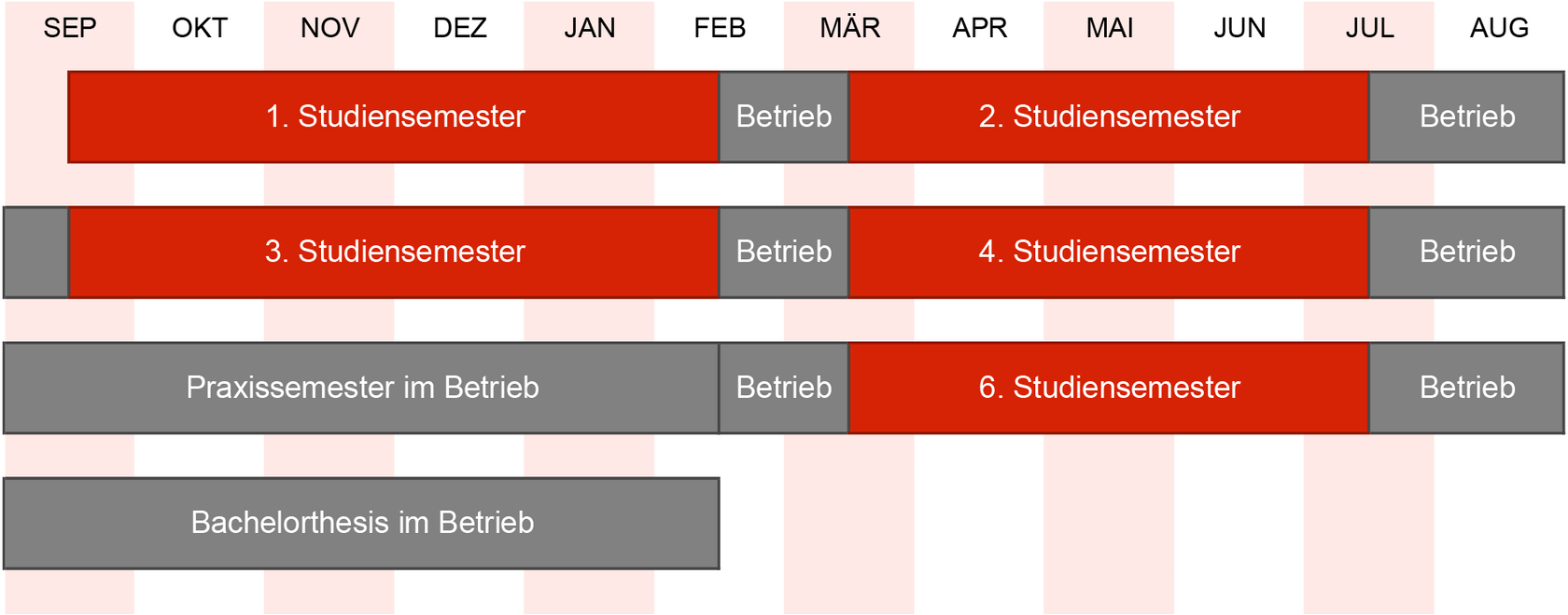 schematische Übersicht übe den Ablauf des StudiumPLUS Praxis in Form eine Jahresablaufs auf Kalenderbasis