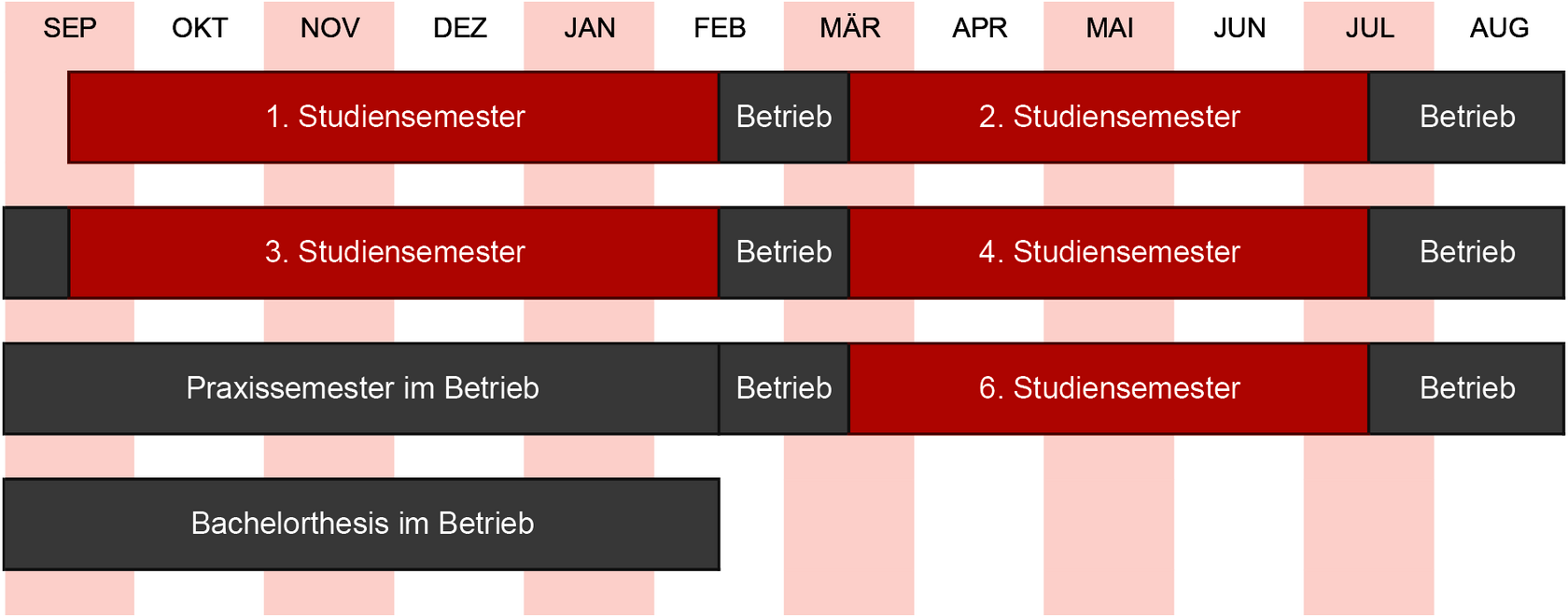 schematische Übersicht übe den Ablauf des StudiumPLUS Praxis in Form eine Jahresablaufs auf Kalenderbasis