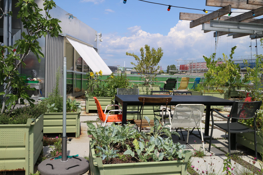 Community use of roof areas - "StadtErle", Basel 2019